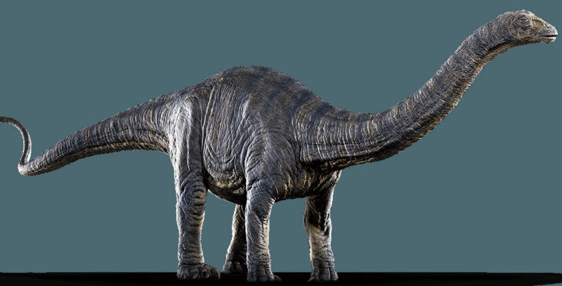 immagine di apatosauro