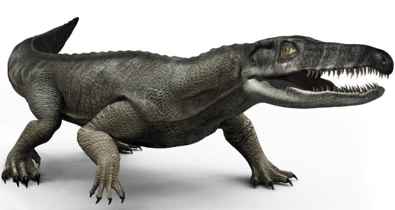 immagine di Chasmatosaurus