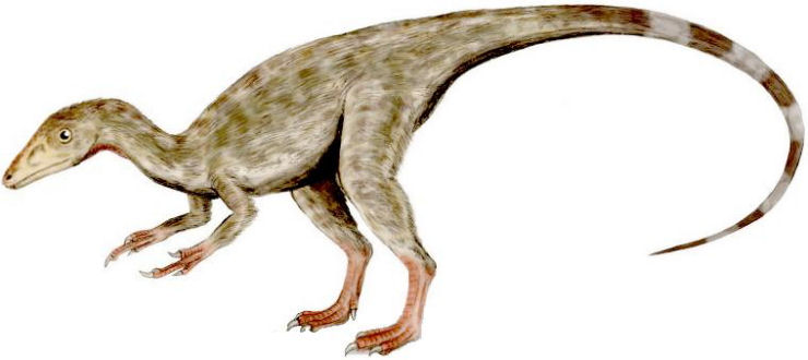 immagine di compsognathus