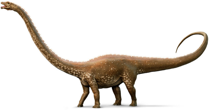 immagine di Diplodocus