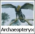 Archaeopteryx - un grande uccello del Giurassico
