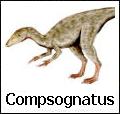Compsognathus - uno dei pi piccoli dinosauri del Giurassico
