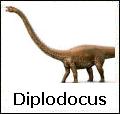 Diplodocus - l'enorme dinosauro erbivoro del Giurassico