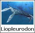 Liopleurodon - grosso carnivoro marino del giurassico