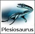 Plesiosaurus - dinosauro carnivoro marino del Giurassico
