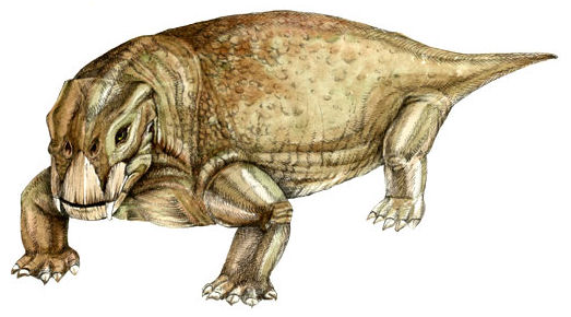 immagine di Lystrosaurus