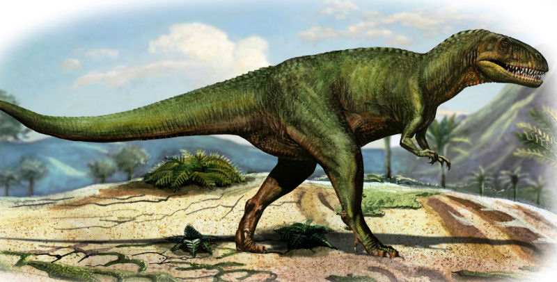 immagine di megalosauro