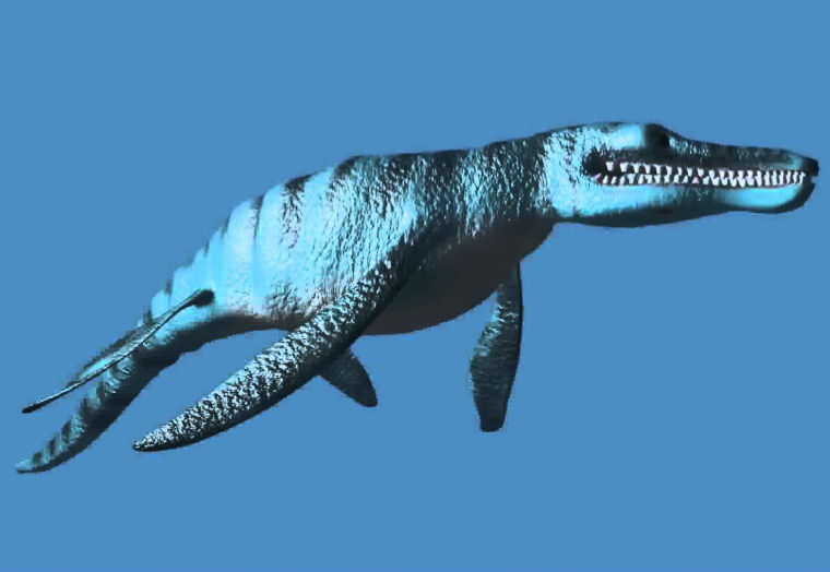 immagine di pliosauro