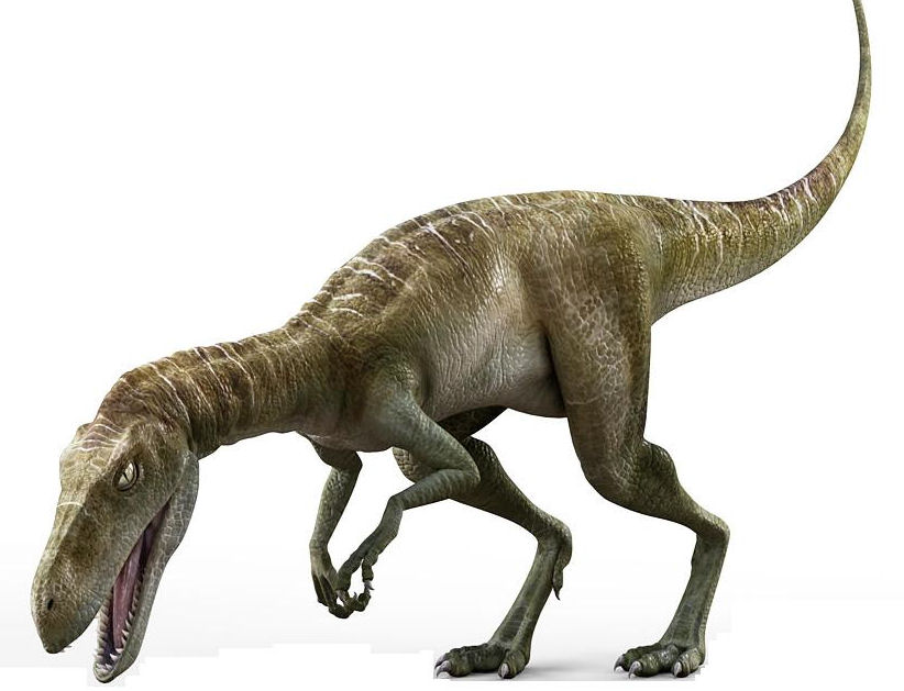 immagine di Staurikosaurus