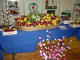 padiglione stand - Eventi Frutti in fiore - Zoom immagine