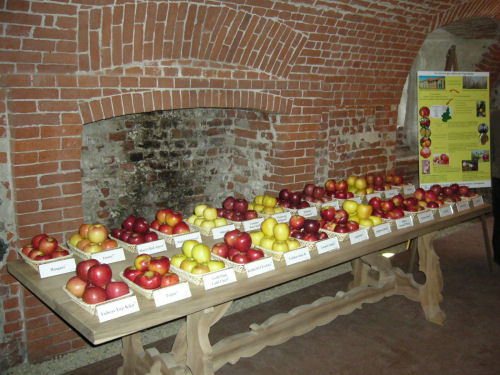 mostra di frutta