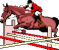 I velocipedi equestri
