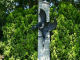 monumento ai caduti - Falicetto - Zoom immagine