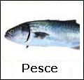 Ricette Pesce