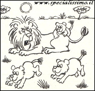 Vignette Animali - Leoncini
