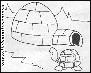 Vignette Animali - Tartaruga