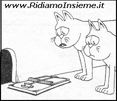 Vignette Animali - Gatti