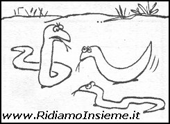Vignette Animali - Serpenti: la banana