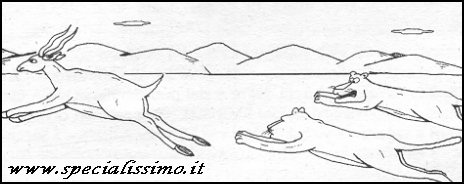 Vignette Animali - Leoni - la caccia
