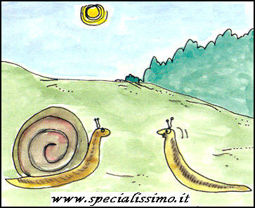 Vignette Animali - Lumache - casa