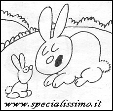 Vignette Animali - Conigli (1)