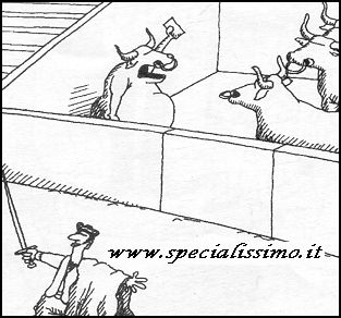 Vignette Animali - Tori - corrida