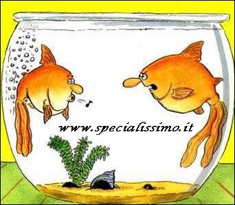 Vignette Animali - Pesci - bolle