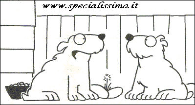 Vignette Animali - Cani - mangiare