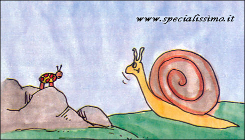 Vignette Animali - Lumache - la casa