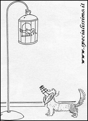 Vignette Animali - In gabbia