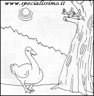 Vignette Animali - L'oca