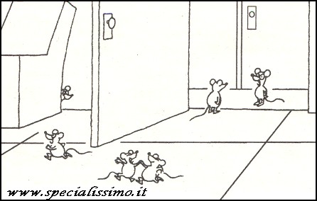 Vignette Animali - I topolini