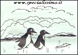 Vignette Animali - Pinguini