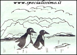 Vignette Animali - Pinguini