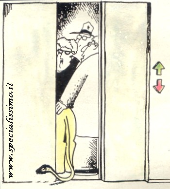 Vignette Animali - Il leone