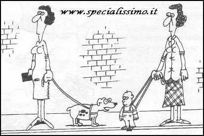 Vignette Animali - Cane