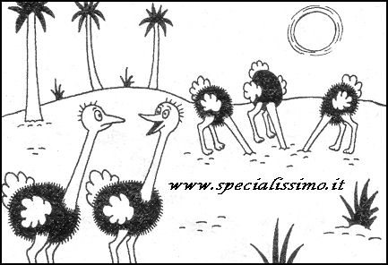 Vignette Animali - Gli struzzi