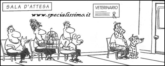 Vignette Senza parole - Dal veterinario