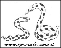 Vignette Animali - Serpenti (2)
