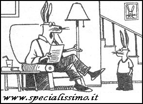 Vignette Animali - Conigli (2)