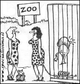 Vignette Varie - Allo zoo (1)