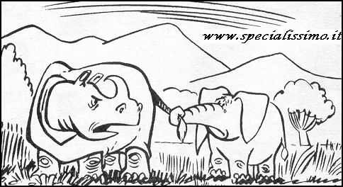 Vignette Animali - Rinoceronte