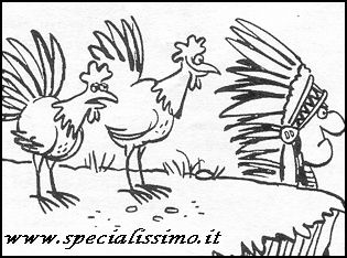 Vignette Animali - Galline