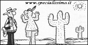 Vignette Indiani - Cactus