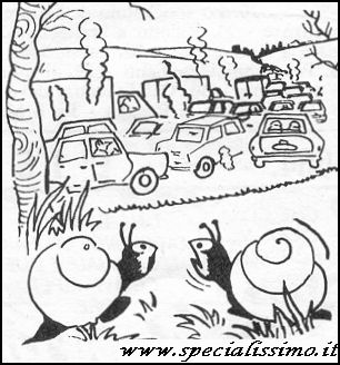 Vignette Animali - Lumache