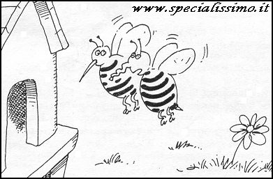 Vignette Animali - Le api