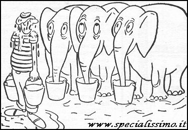 Vignette Animali - Elefanti burloni