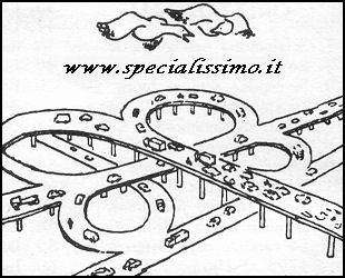 Vignette Animali - Uccelli (1)