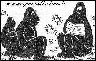 Vignette Animali - Gorilla