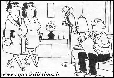 Vignette Animali - Il pappagallo
